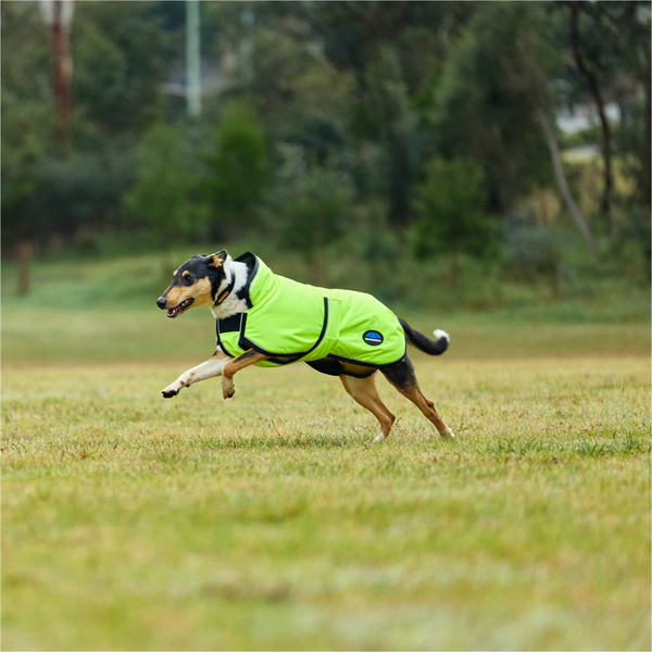 2025 Weatherbeeta Comfitec Reflective 300D Deluxe Showerproof Dog Coat 1029050 - Yellow